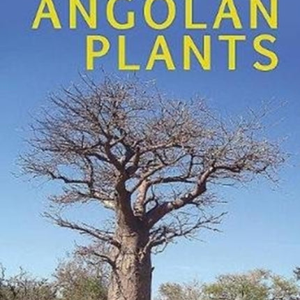 Common names of Angolan plants