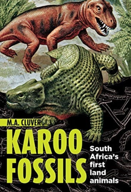 Karoo Fossils: South Africa’s First Land Animals