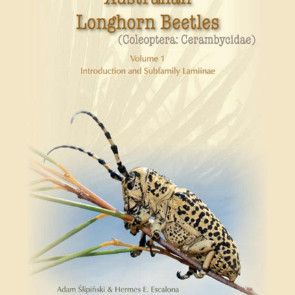 Australian Longhorn Beetles