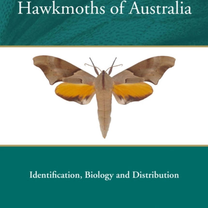 Hawkmoths of Australia: Identification, Biology and Distribution