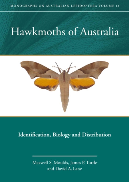 Hawkmoths of Australia: Identification, Biology and Distribution