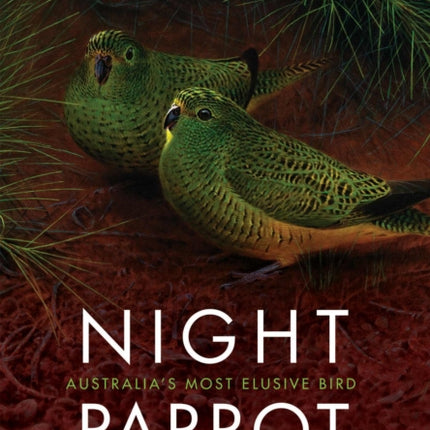 Night Parrot: Australia’s Most Elusive Bird