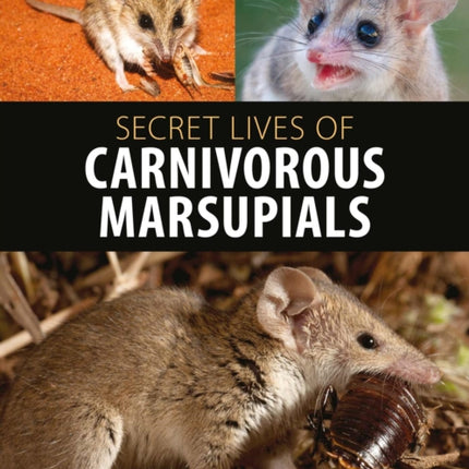 Secret Lives of Carnivorous Marsupials