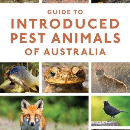 Guide to Introduced Pest Animals of Australia