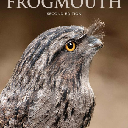 Tawny Frogmouth