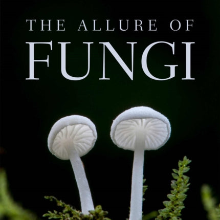 The Allure of Fungi