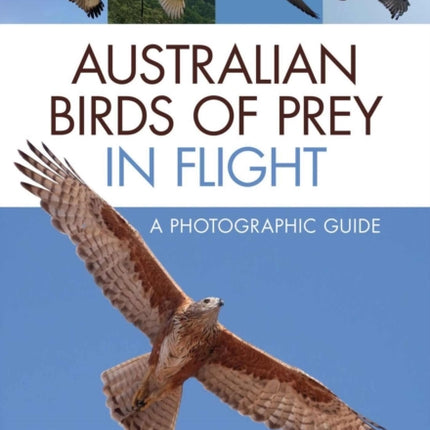 Australian Birds of Prey in Flight: A Photographic Guide