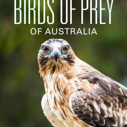 Birds of Prey of Australia: A Field Guide