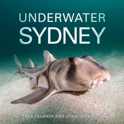 Underwater Sydney