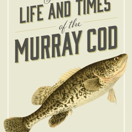 The Life and Times of the Murray Cod