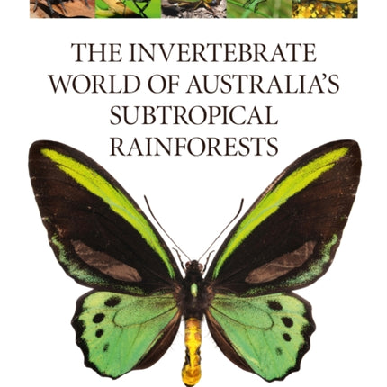 The Invertebrate World of Australia’s  Subtropical Rainforests