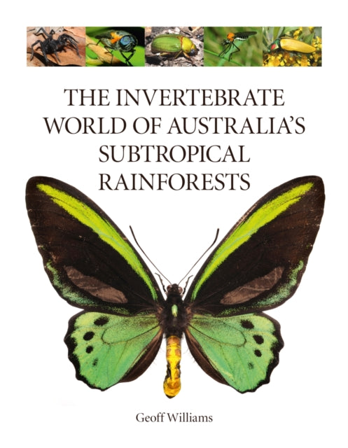 The Invertebrate World of Australia’s  Subtropical Rainforests