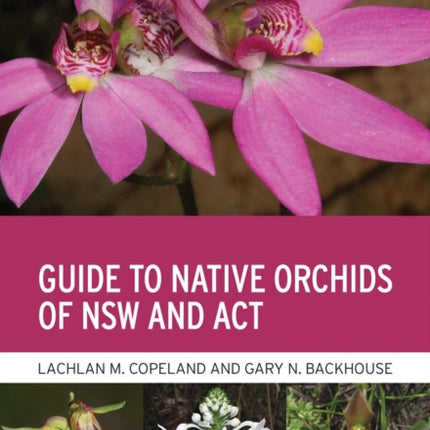 Guide to Native Orchids of NSW and ACT