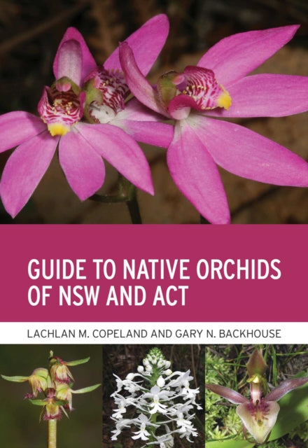 Guide to Native Orchids of NSW and ACT