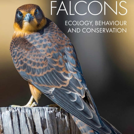 Australian Falcons: Ecology, Behaviour and Conservation