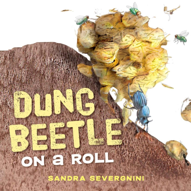 Dung Beetle on a Roll