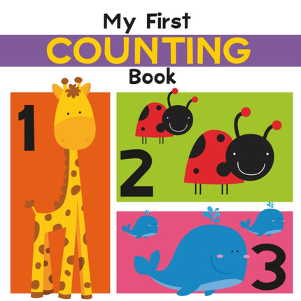 MY FIRST COUNTING BOOK Illustrated First Concepts