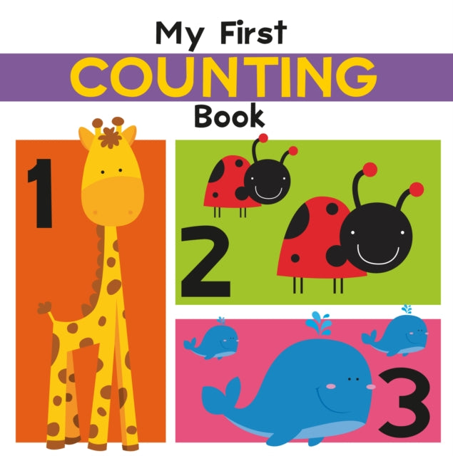 MY FIRST COUNTING BOOK Illustrated First Concepts