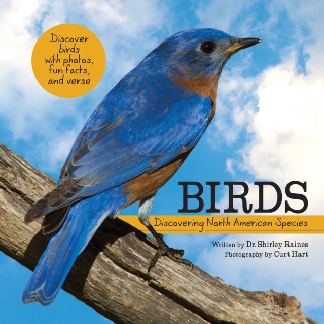 Birds Discovering North American Species My