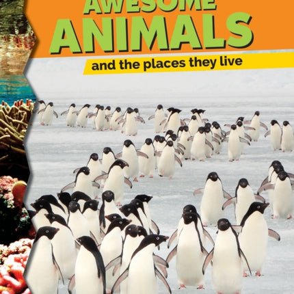 Awesome Animals and the Places They Live Do You