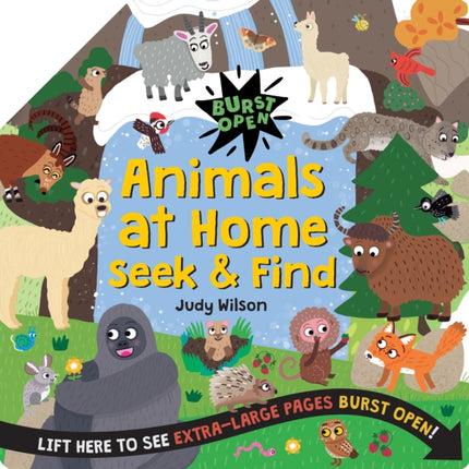 Animals at Home Seek  Find