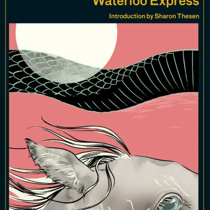 Waterloo Express