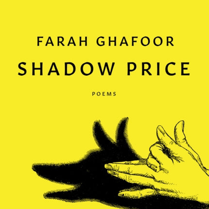 Shadow Price