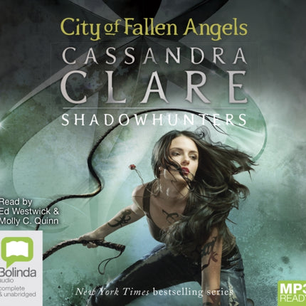 City of Fallen Angels