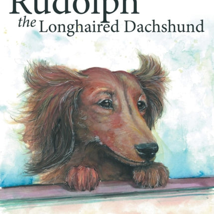 Rudolph the Longhaired Dachshund