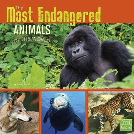 Most Endangered Animals in the World (All About Animals)