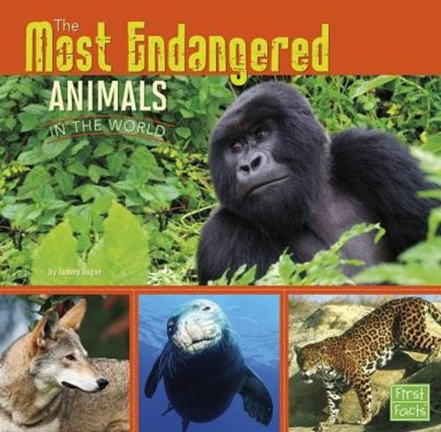 Most Endangered Animals in the World (All About Animals)