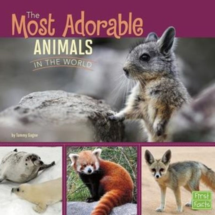 Most Adorable Animals in the World