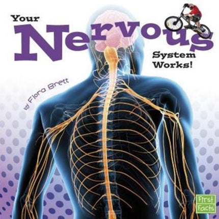 Your Nervous System Works Your Body Systems