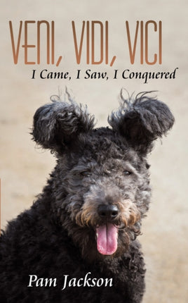 Veni Vidi Vici I Came I Saw I Conquered