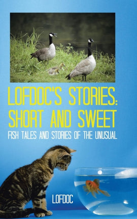 Lofdocs Stories