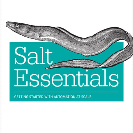 Salt Essentials