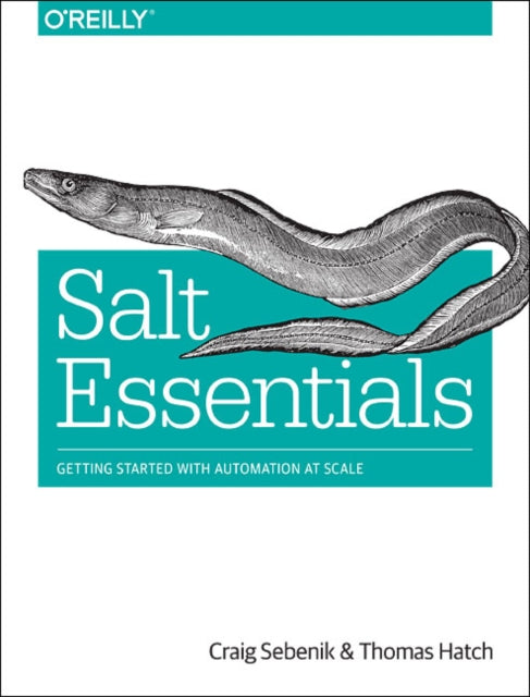 Salt Essentials