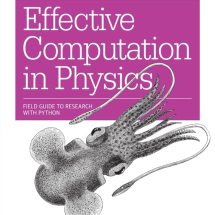 Effective Computation in Physics