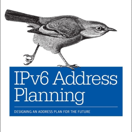 IPv6 Address Planning