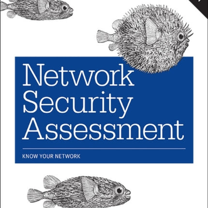 Network Security Assessment 3e