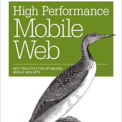 High Performance Mobile Web