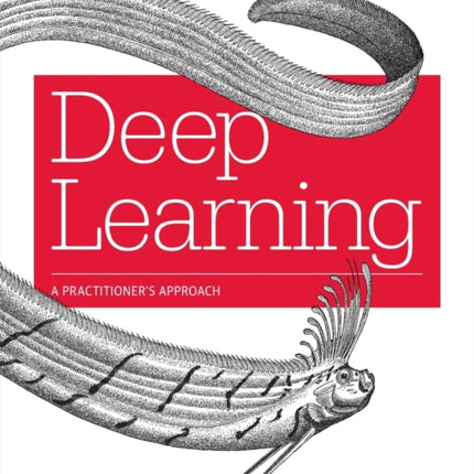 Deep Learning: A Practitioner's Approach