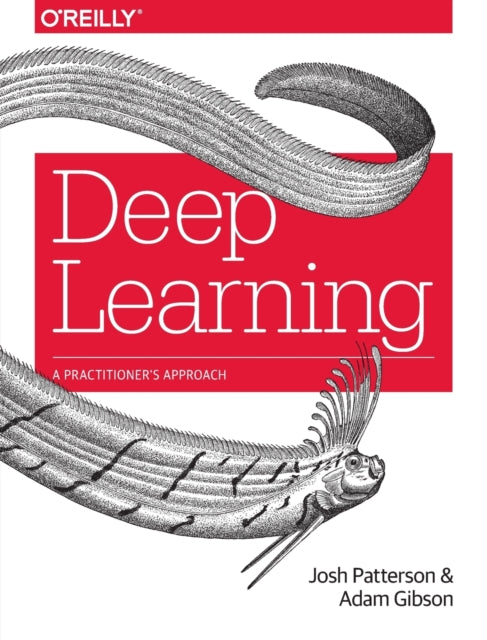 Deep Learning: A Practitioner's Approach