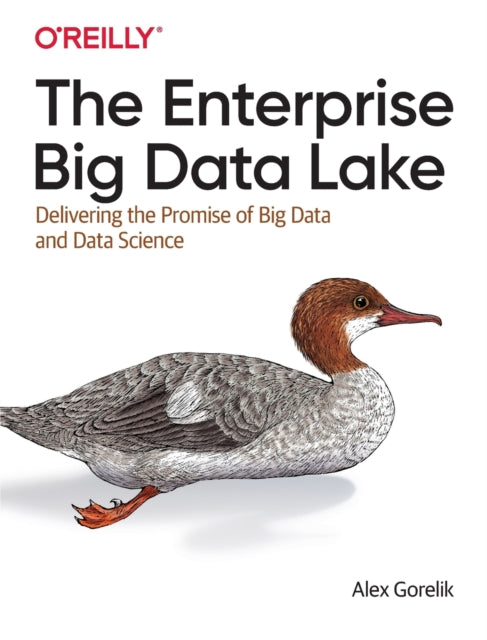 The Enterprise Big Data Lake: Delivering the Promise of Big Data and Data Science