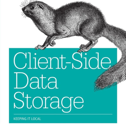 Client–Side Data Storage