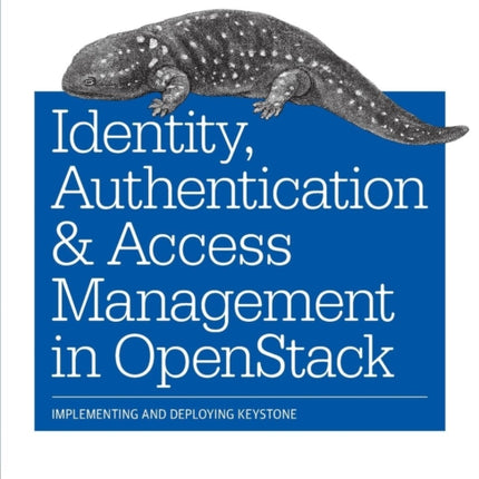 Identity Authentication and Access Management in