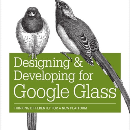 Designing and Developing for Google Glass