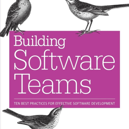 Building Software Teams