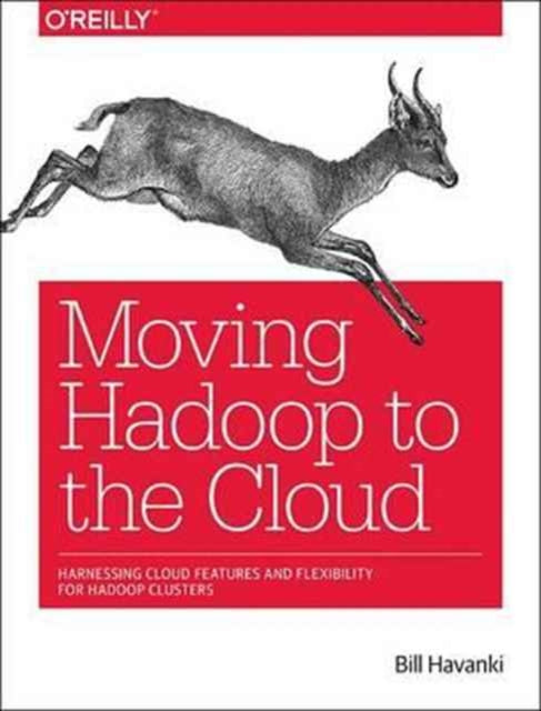 Moving Hadoop in the Cloud: Harnessing Cloud Features and Flexibility for Hadoop Clusters