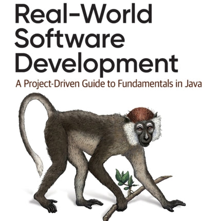 Real-World Software Development